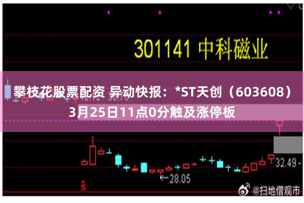 攀枝花股票配资 异动快报：*ST天创（603608）3月25日11点0分触及涨停板