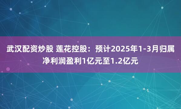 武汉配资炒股 莲花控股：预计2025年1-3月归属净利润盈利1亿元至1.2亿元