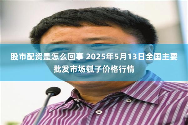 股市配资是怎么回事 2025年5月13日全国主要批发市场瓠子价格行情