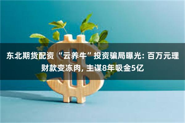 东北期货配资 “云养牛”投资骗局曝光: 百万元理财款变冻肉, 主谋8年吸金5亿