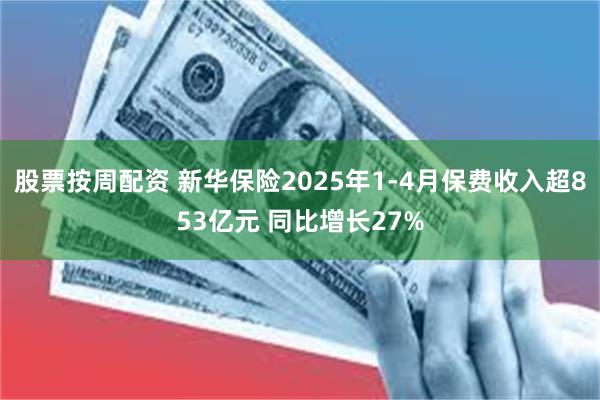股票按周配资 新华保险2025年1-4月保费收入超853亿元 同比增长27%
