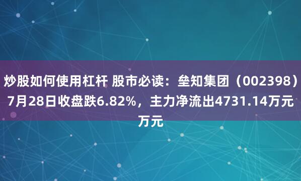 炒股如何使用杠杆 股市必读：垒知集团（002398）7月28日收盘跌6.82%，主力净流出4731.14万元