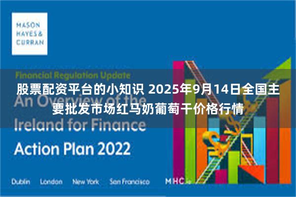 股票配资平台的小知识 2025年9月14日全国主要批发市场红马奶葡萄干价格行情